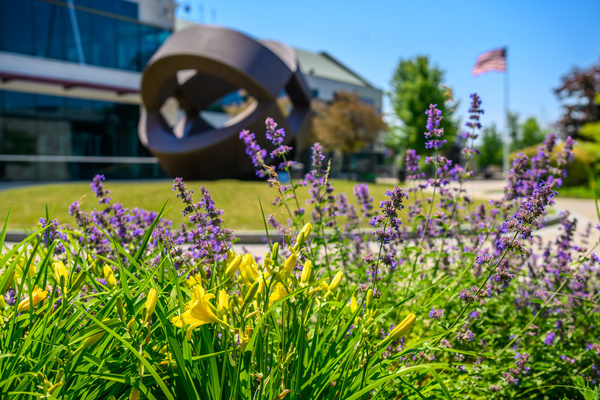 Purple and yellow flowers in bloom outside a Hudson Valley Community College campus building.
