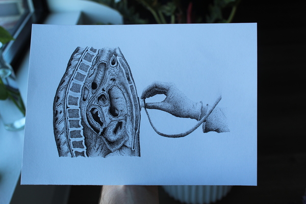 Representation of the achievement named 'DMU Student's Art Selected for National Health Care Summit'.