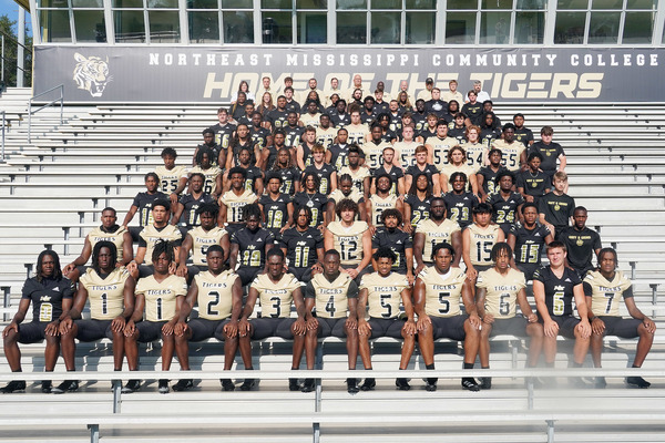 Team photo, arranged photo, black and gold jerseys, football players, Home of the Tigers