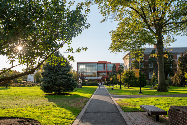 Adelphi University has announced the appointment of business leaders and alumni Kristopher Amplo ’00, LeeAnn Black ’83, Bruce A. Jones, BA ’82, PhD, and Walter P. Schmidt ’84 as the newest members of the University’s Board of Trustees. 
