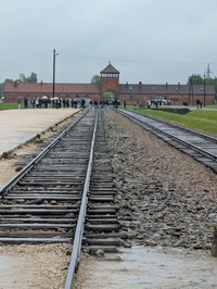 Auschwitz Train Tracks