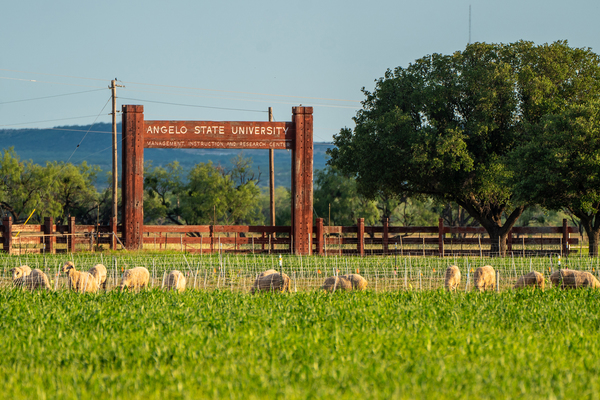 Angelo State MIR Center