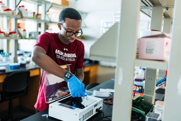 James Williams Conducts Biochemistry Research in a Muhlenberg College laboratory.