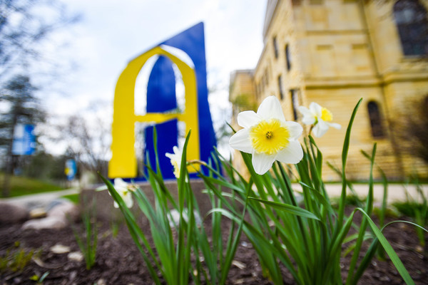 Representation of the achievement named 'Augustana College's spring semester Dean's List'.