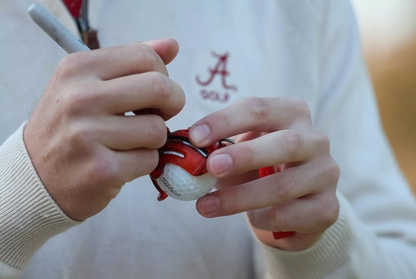 Representation of the achievement named 'Five Alabama Men's Golfers Named Cobalt All-America Scholars'.