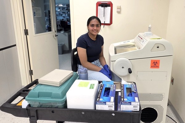 Representation of the achievement named 'UAlbany Summer: From bioinformatics to hands-on lab work'.