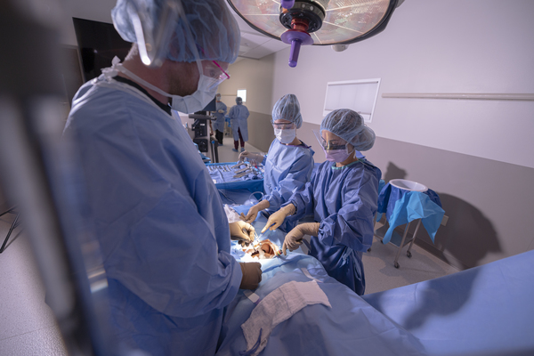 Trine University surgical technology students practice in a simulation room at the Brooks College of Health Professions in Fort Wayne. The university is now accepting applications from students who wish to enter its surgical technology program in fall 2027. (Photo by Dean Orewiler / Trine University)