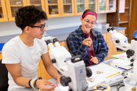 Ellie Barbolt ’27, a student in the Presidential Internship Program, works in the lab looking through a microscope.