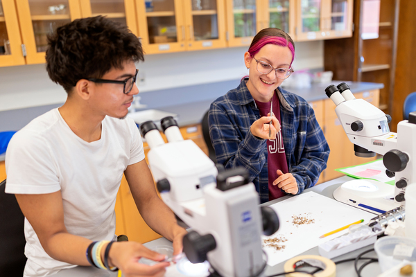 Ellie Barbolt ’27, a student in the Presidential Internship Program, works in the lab as part of an integrated surveillance program for monitoring mosquito-borne zoonotic diseases in Northern New York. SUNY Potsdam’s Lougheed Center for Applied Learning has announced another year of support for the Presidential Internship Program, which provides paid summer internship experiences for students at North Country businesses and organizations.