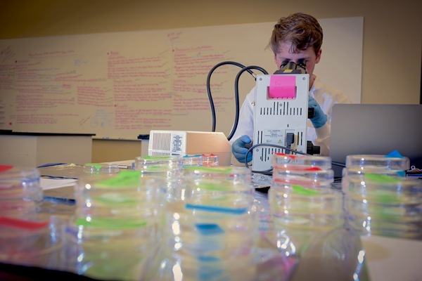 Representation of the achievement named 'Wofford students study plastic accumulation in Spartanburg'.