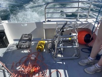 Grace Baldwin works on a ship with the Atlantic Shark Institute.