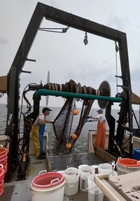 Grace Baldwin works on a ship with the Atlantic Shark Institute.