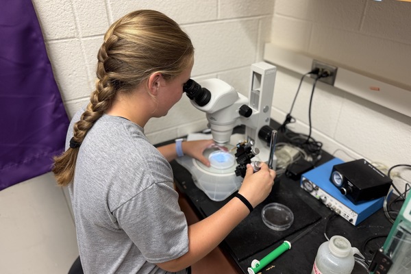 Female student looking through microscope