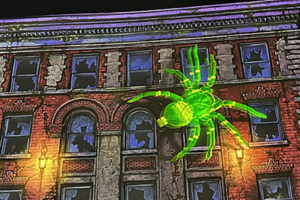 Representation of the achievement named 'Art + Media + Design Works Displayed at Projection Arts Festival'.