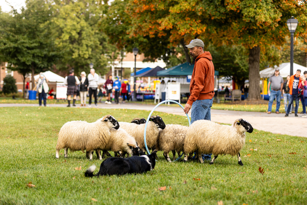 Highlander_Festival_20231014_011.jpg