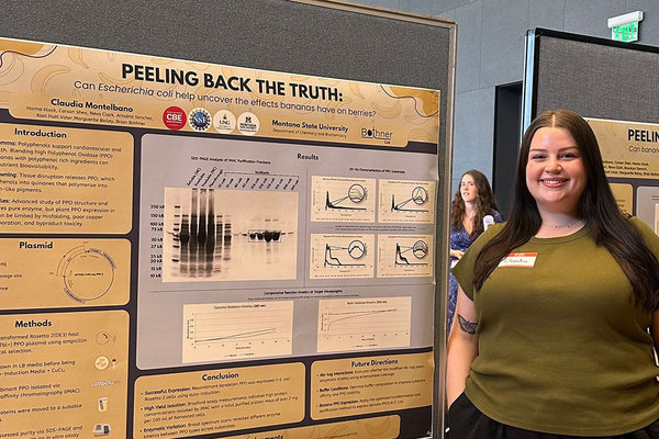 Representation of the achievement named 'UNG students embrace summer research opportunities'.