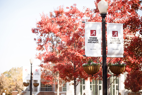 Representation of the achievement named 'UA Transfer Student Earns National Recognition for Leadership'.