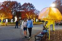 Illuminated jellyfish from Lainie L. Calhoun-Bouchey’s “Finding Your Crowd: 3D Edition" dangled at the edge of a lit-up Minerva Plaza.