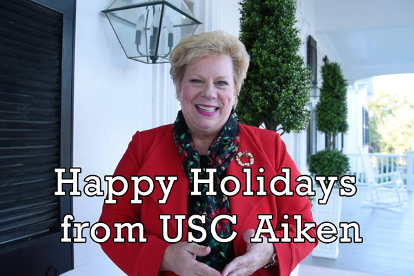 Holiday video