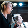 Spring band17