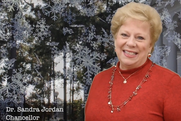 Holiday video picture