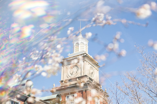 Representation of the achievement named 'Austin Peay Promise Scholarship Accepted'.