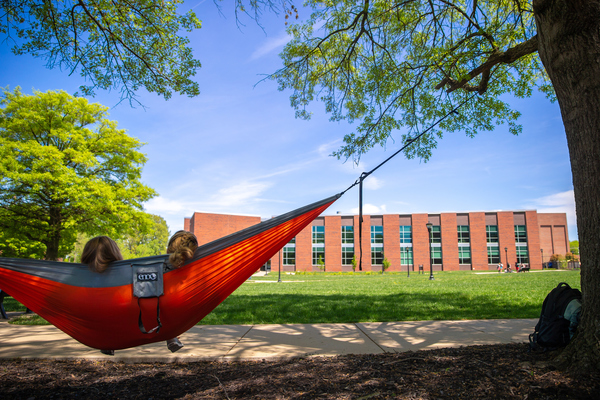 Representation of the achievement named 'Austin Peay Promise Scholarship'.