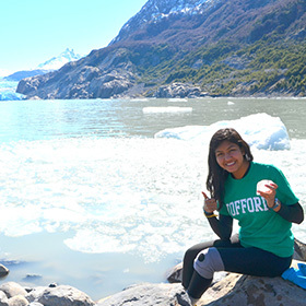 Link to Wofford College’s website