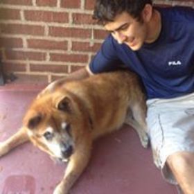 Benjamin Mertens’ headshot.