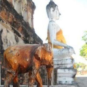 Horace Williams’ headshot.