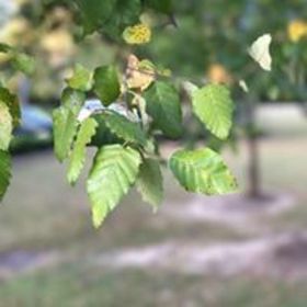 Nitharjan Kanthasamy’s headshot.