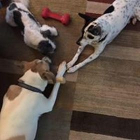 Josie Irizarri’s headshot.