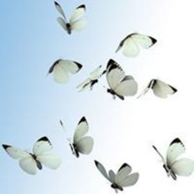 Han Nguyen’s headshot.