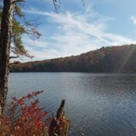 Ayesha Beasley’s headshot.
