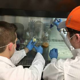 Cameron Johnstone’s headshot.