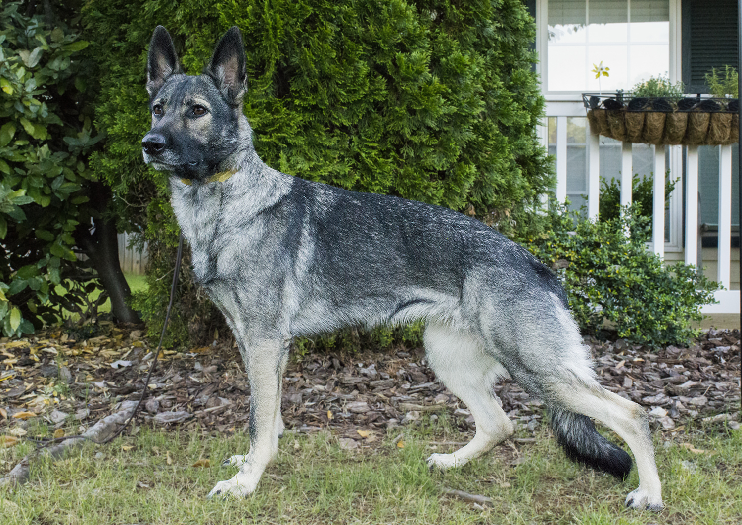 Placeholder headshot for Tiffany Smith.