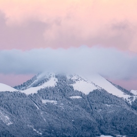 Ruben Mocuta’s headshot.