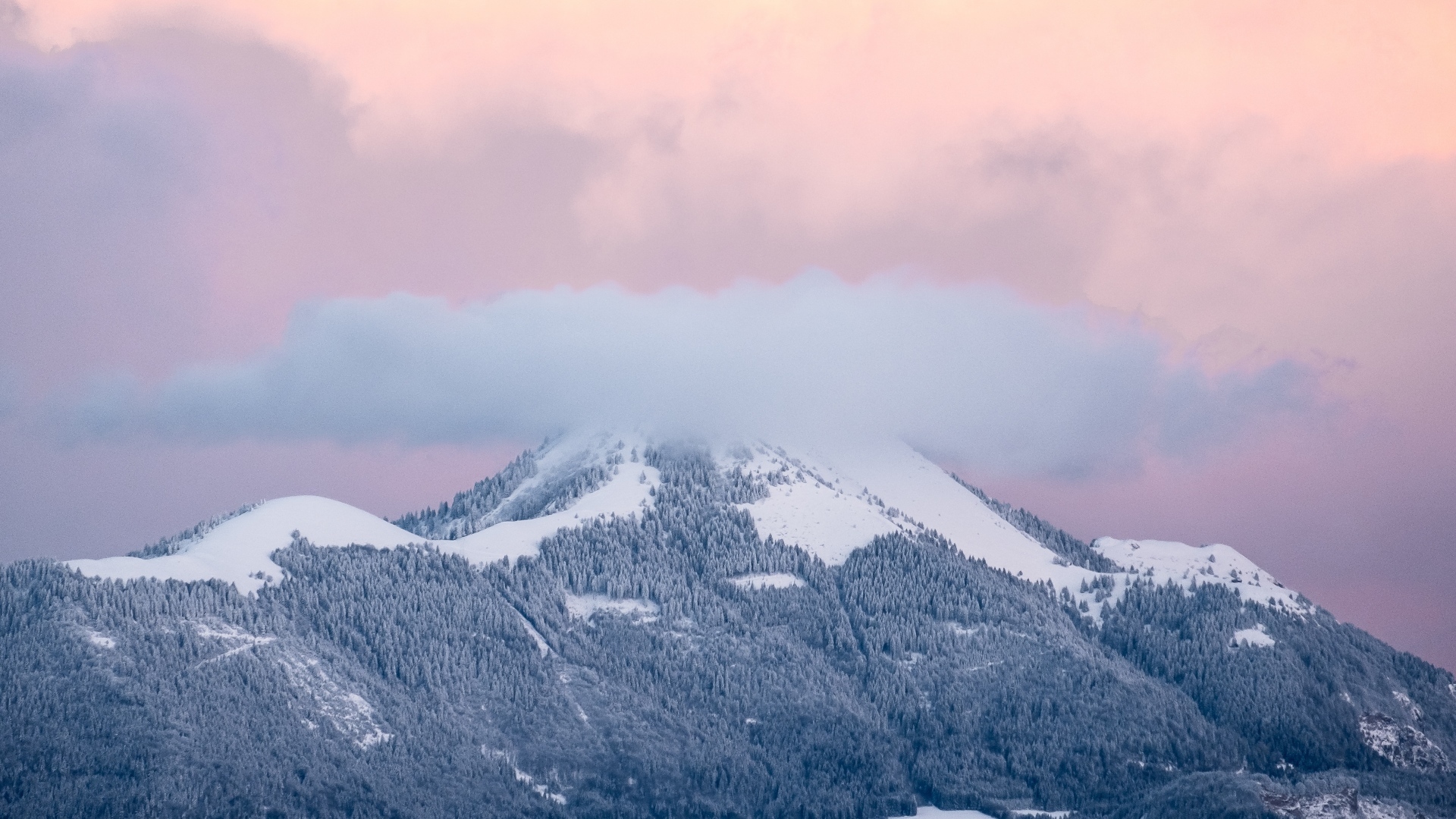 Placeholder headshot for Ruben Mocuta.