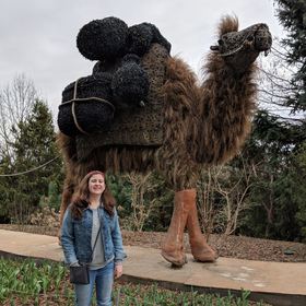 Carolyn Lesseig’s headshot.