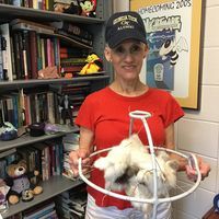 Placeholder headshot for Paula Peche.