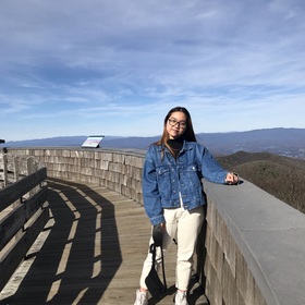 Hanh To Nguyen
