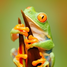 Tanner Holloway’s headshot.