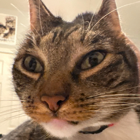 Emiko Kuhs’ headshot.