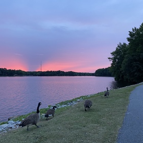 Arezoo Wakili’s headshot.