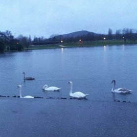 Asmaa Maoulainine’s headshot.