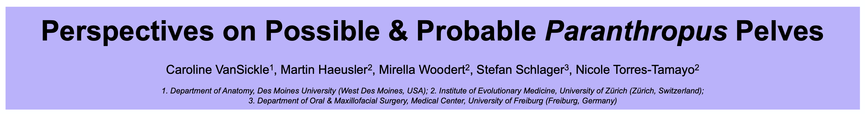 Screenshot of purple box forming the title of the poster: Perspectives on Possible & Probable Paranthropus Pelves
