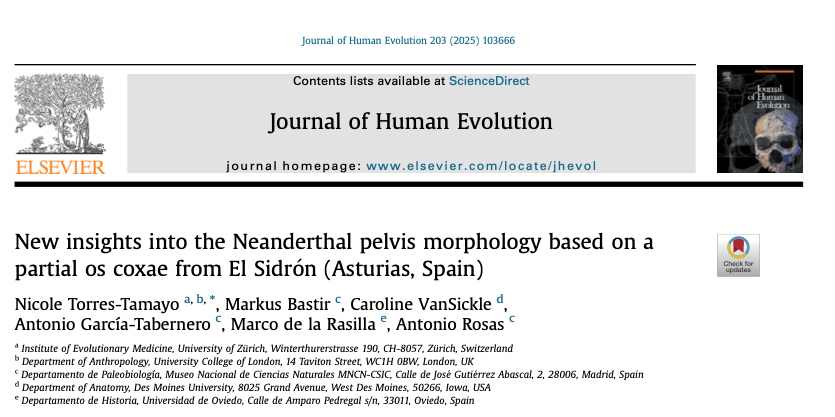 Screenshot of article title, New insights into the Neanderthal pelvis morphology based on a partial os coxae from El Sidrón (Asturias, Spain), and author list