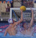 Kyle Rosenblatt Men's Water Polo Recruiting Profile