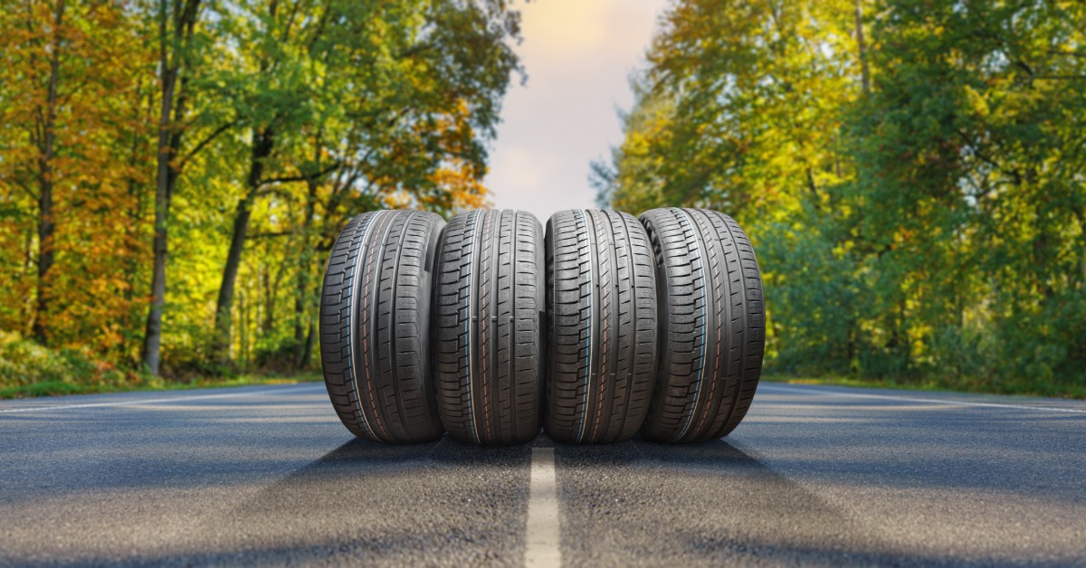 Four tires rest upright and side-by-side in the middle of a road. Trees line both sides of the road, their leaves changing color.