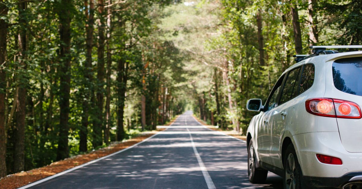 A white car is driving on the right side of the road through a wooded area. The trees are casting shade.